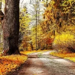 自然风景 免费PNG素材