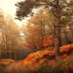 自然风景 PNG素材下载