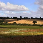 自然风景 透明背景PNG