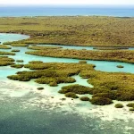 自然风景 透明背景PNG