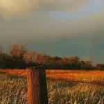 自然风景 透明背景PNG