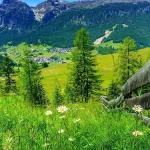 自然风景 PNG素材下载