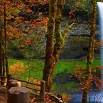 自然风景 透明背景PNG