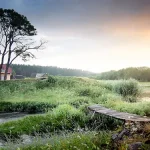 自然风景 PNG素材下载