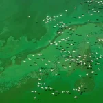 自然风景 PNG素材下载