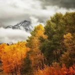 自然风景 PNG素材下载