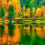 自然风景 透明背景PNG