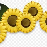 黄色向日葵 PNG素材下载