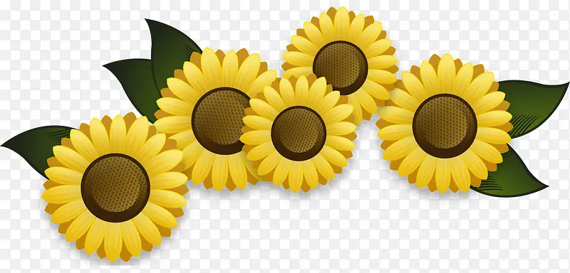 黄色向日葵