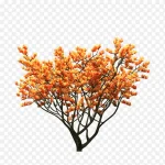 黄色树木 透明背景PNG