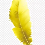 黄色鸡毛 高清PNG