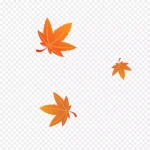 黄色枫叶 透明背景PNG