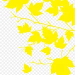 黄色树叶 PNG素材下载