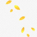 漂浮黄色叶子 高清PNG