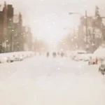 简约之美 透明背景PNG