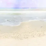 唯美简约 PNG素材下载