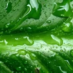 简约背景 PNG素材下载