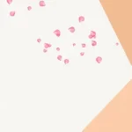 简约背景 免费PNG素材