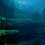 简约背景 PNG素材下载