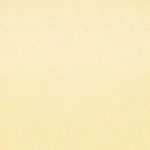 女装简约 高清PNG