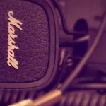 简约大气 透明背景PNG