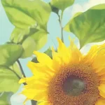 简约大气 透明背景PNG