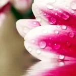 简约背景 PNG素材下载