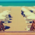 简约大气 高清PNG