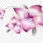 花卉 花 PNG素材下载