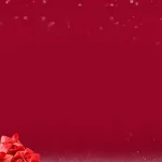 节日气氛 免费PNG素材