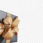 节日礼品盒 PNG素材下载