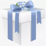 节日礼品盒 免费PNG素材
