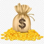 钱袋 钱币  元素 设计 免费PNG素材