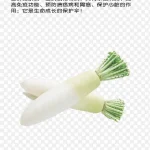 白萝卜  白色食品  白色蔬菜 高清PNG