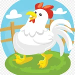 白色公鸡 透明背景PNG