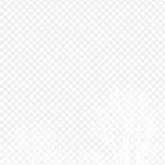 白色树枝 高清PNG