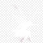 白色蝴蝶 免费PNG素材