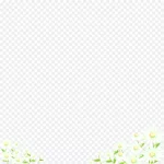 白色菊花 PNG素材下载