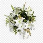 白色百合 免费PNG素材
