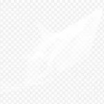 白色素材 PNG素材下载