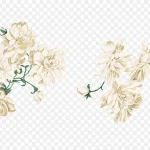 白色花 PNG素材下载