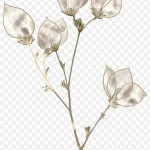 白色花瓣素材 PNG素材下载