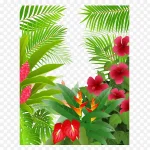 雨林植物 高清PNG