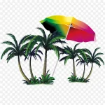 雨林植物 PNG素材下载