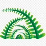 矢量植物 高清PNG