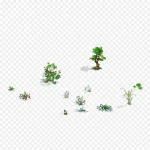 植被植物 小植物 绿色 透明背景PNG