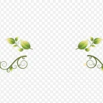 绿色藤蔓植物 免费PNG素材