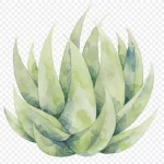 手绘水墨植物装饰 透明背景PNG