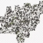 灌木开花植物分枝植物 高清PNG