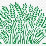 矢量简约植物 高清PNG